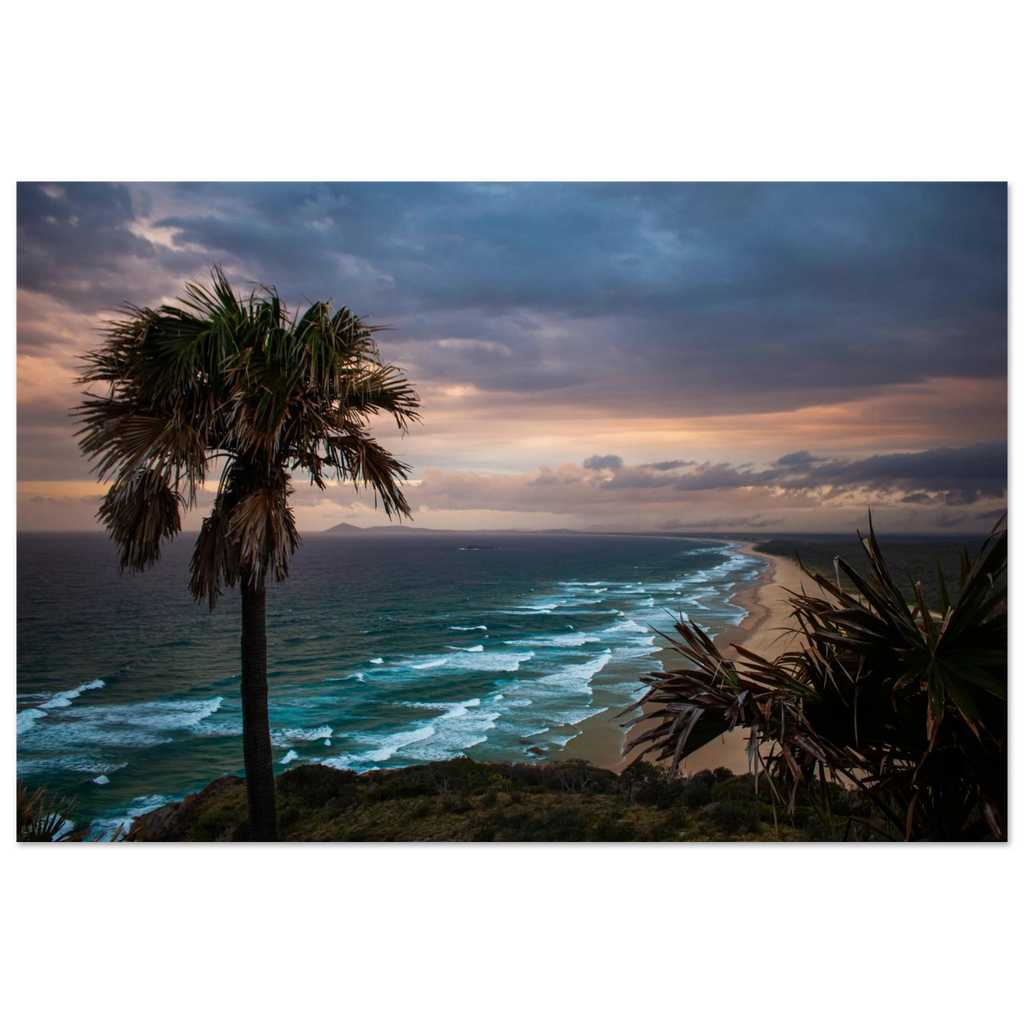 Palm tree on a beach with a dramatic sky over the ocean