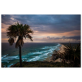 Palm tree on a beach with a dramatic sky over the ocean