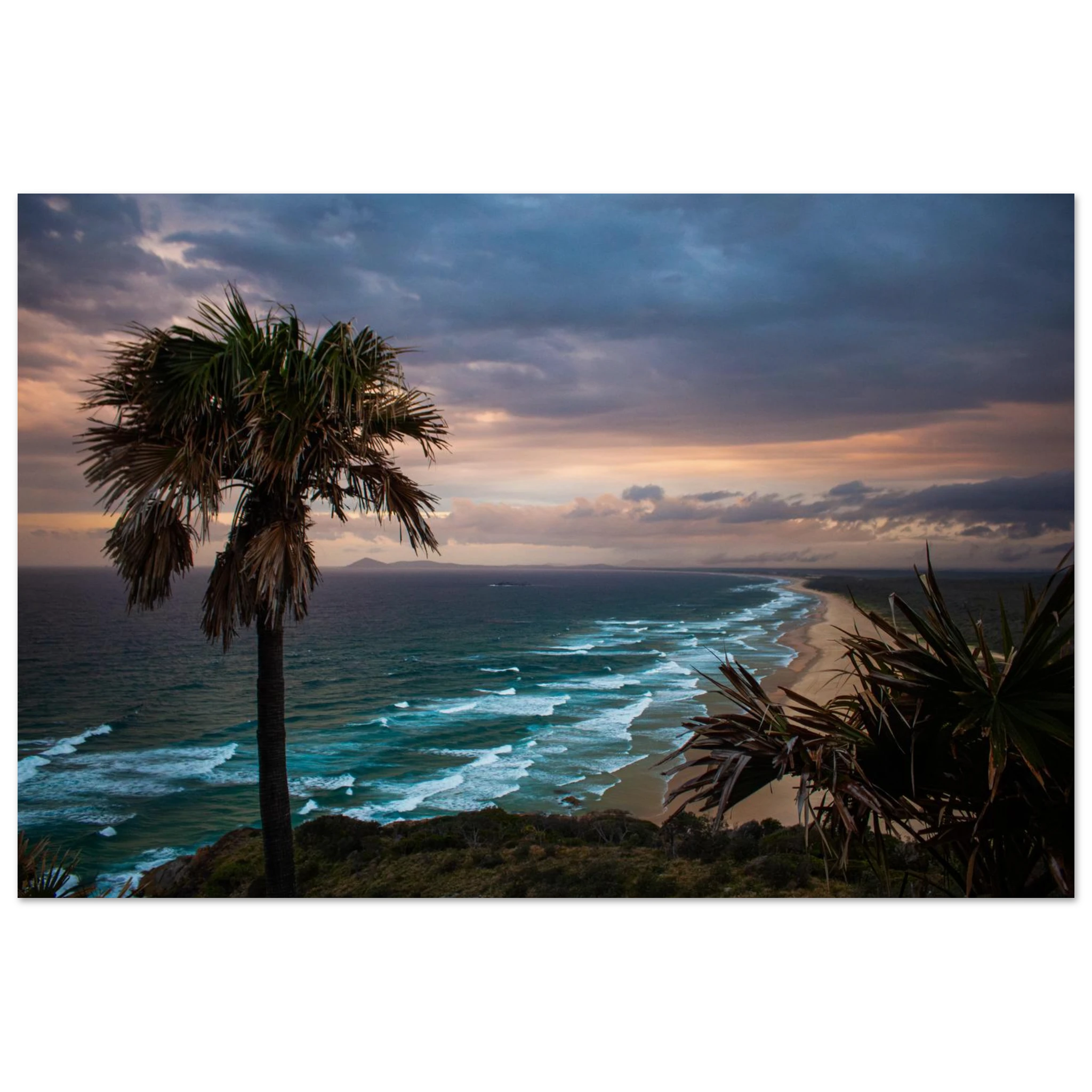 Palm tree on a beach with a dramatic sky over the ocean