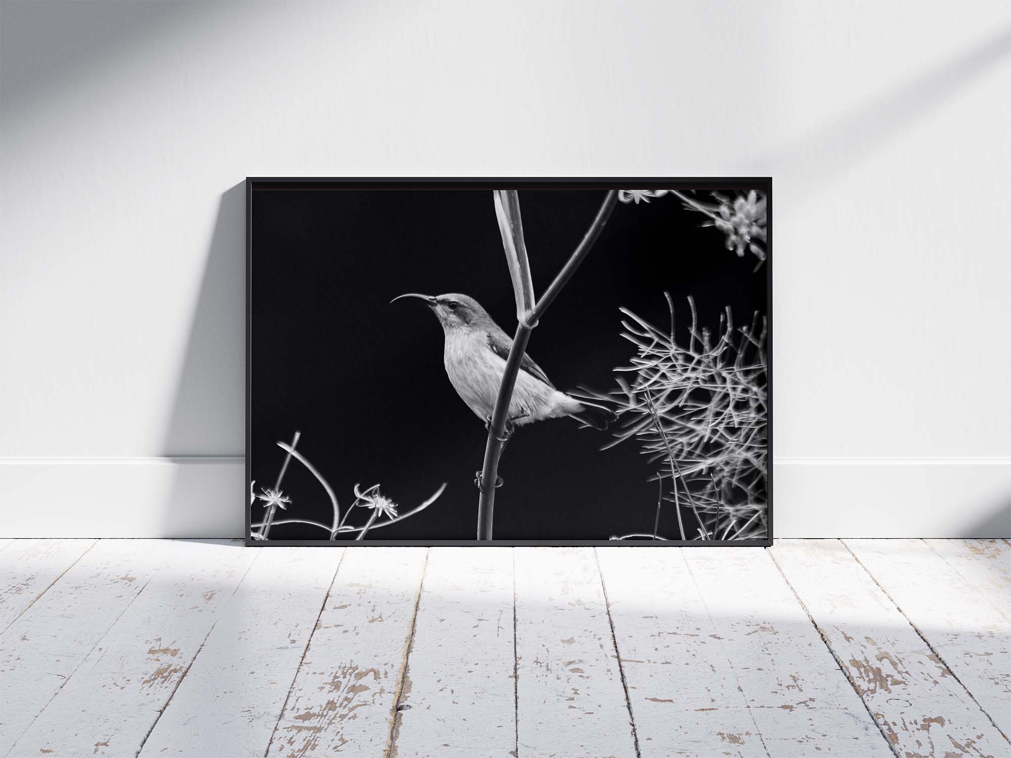 Sunbird