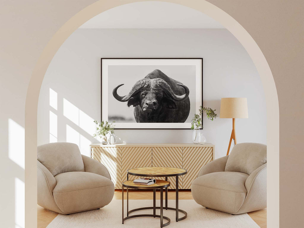 Old Bull