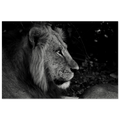 c9a5fedb-a720-4fdc-85e7-83d15ba5641e