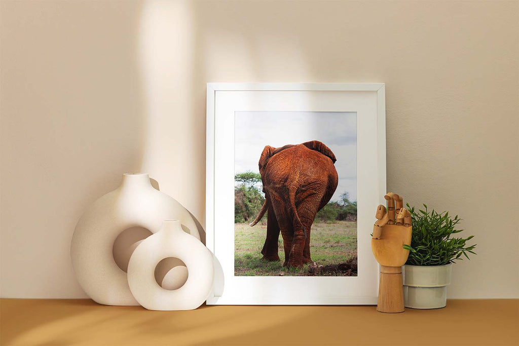 Elephants Behind