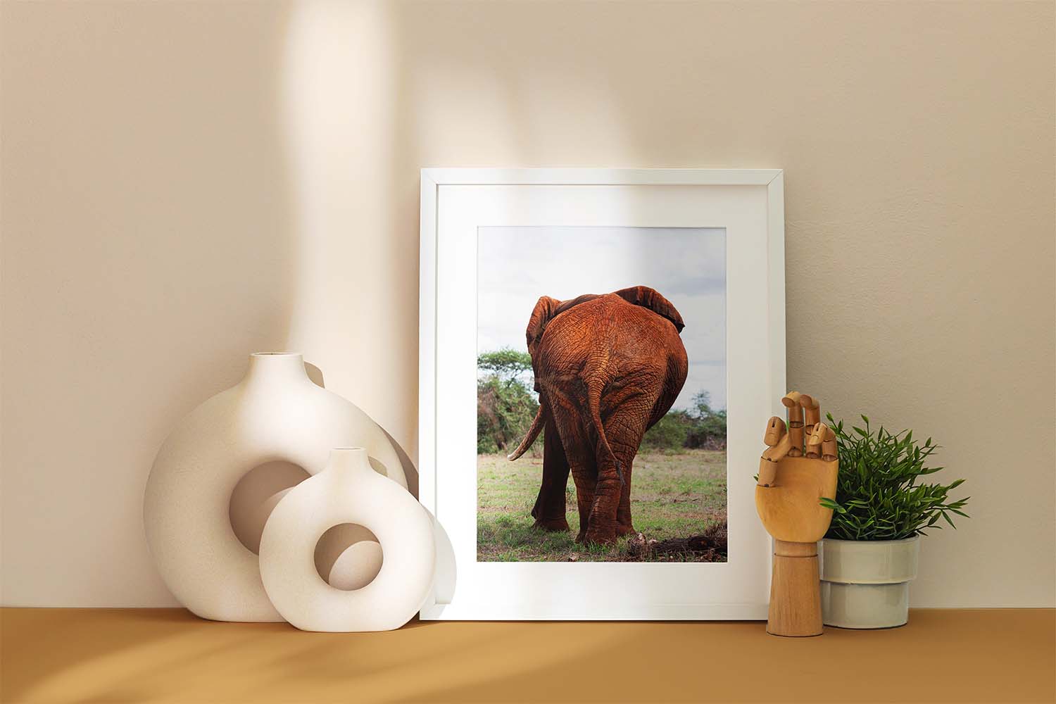 Elephants Behind