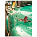 Close-up of a vintage green Ford truck with the logo visible.