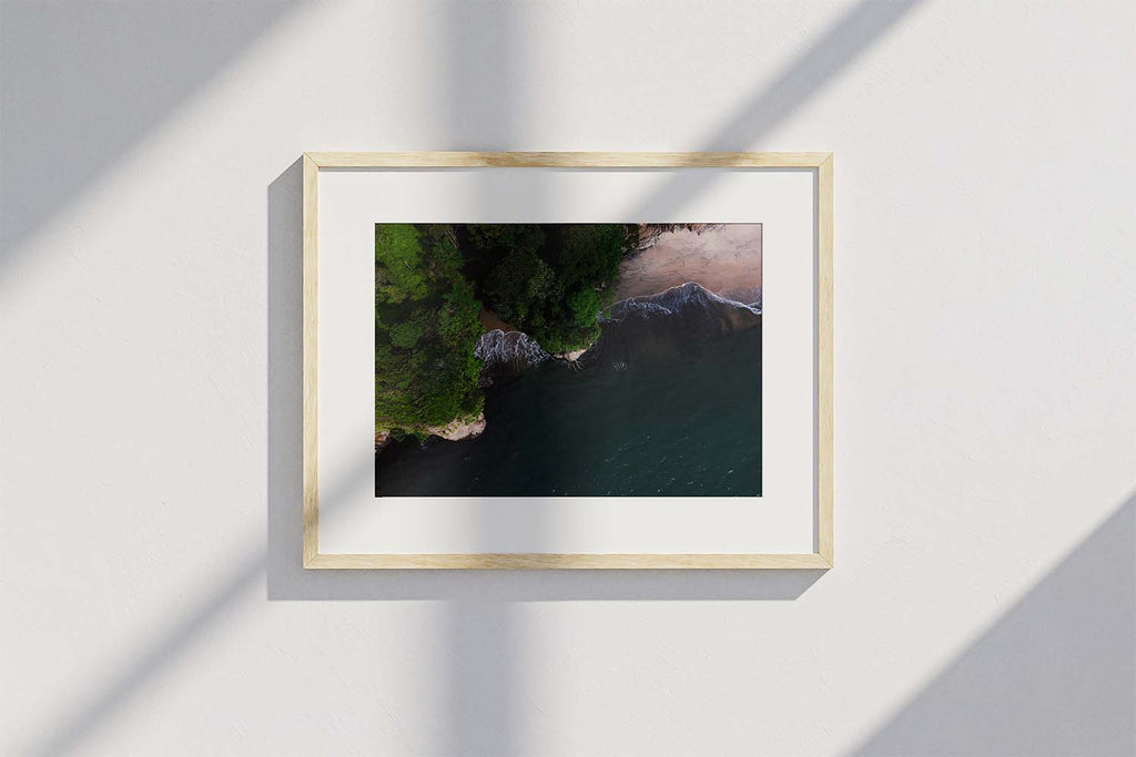 Between the Jungle and the Sea