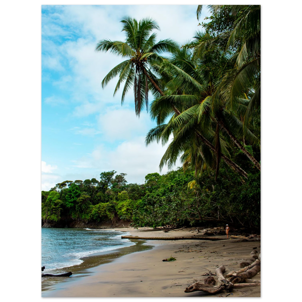 Tropical beach with palm trees and clear blue sky