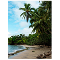 Tropical beach with palm trees and clear blue sky
