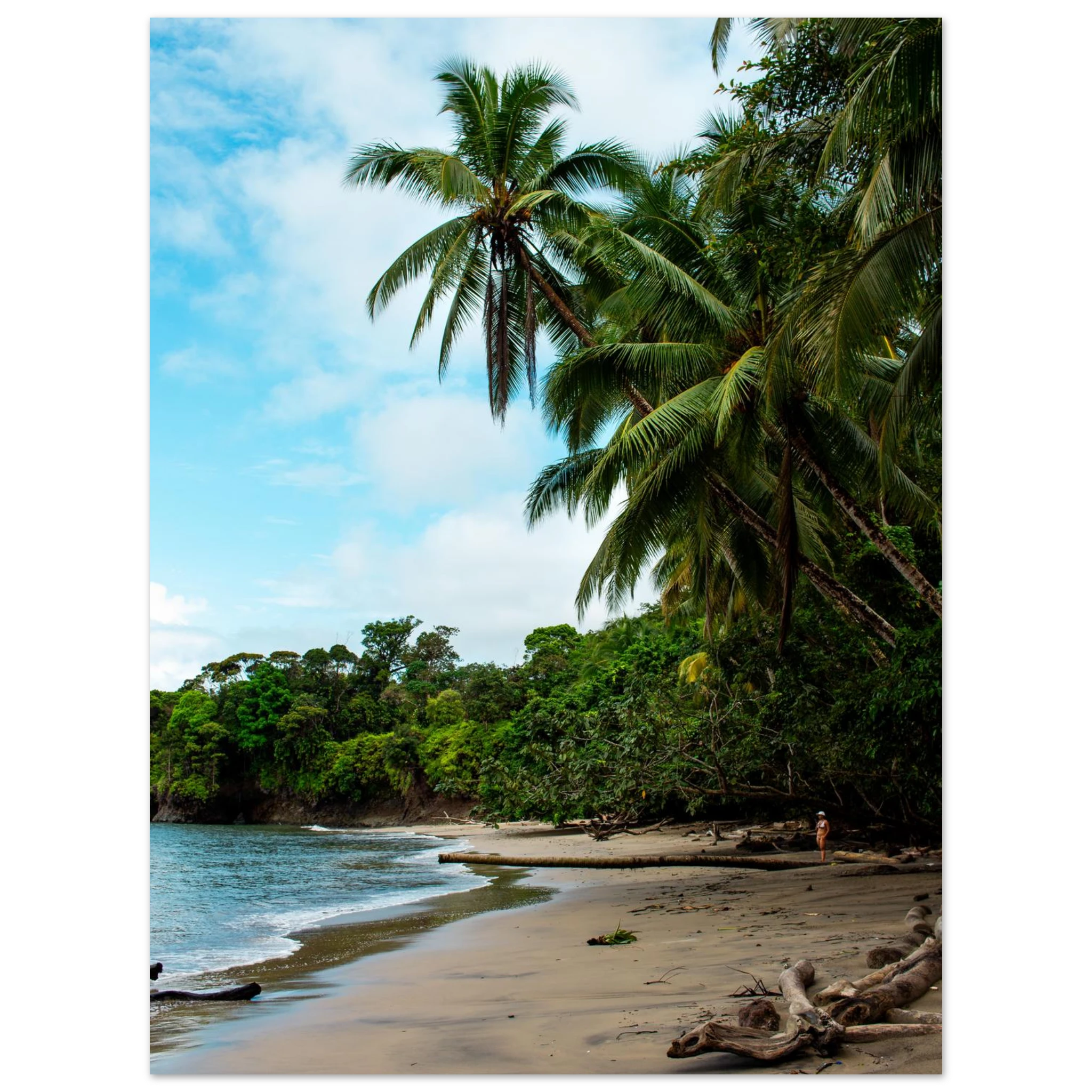 Tropical beach with palm trees and clear blue sky