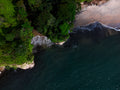 Between the Jungle and the Sea
