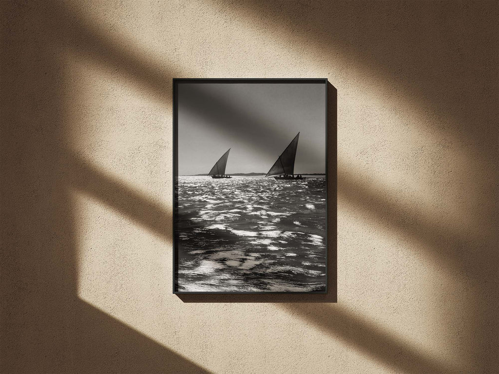 The Dhow Race