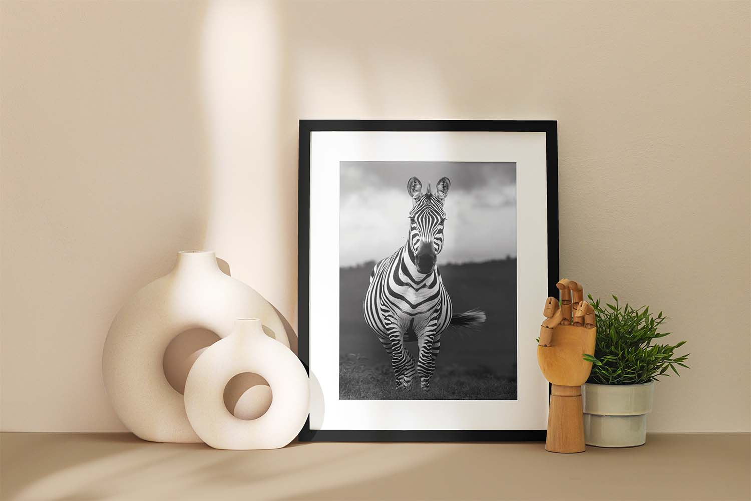 Zebra